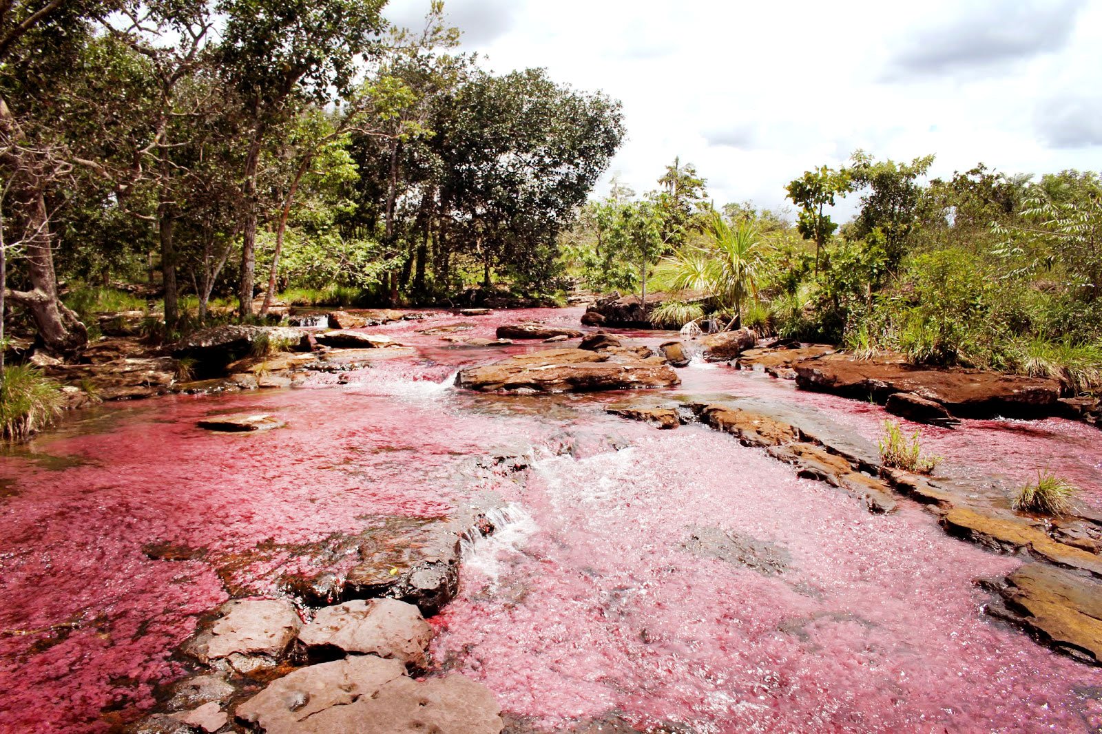 San José del Guaviare